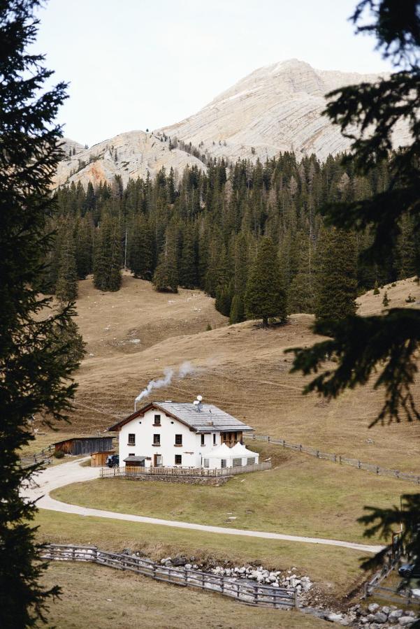 코르티나 담페조 Rifugio Malga Ra Stua 빌라 외부 사진